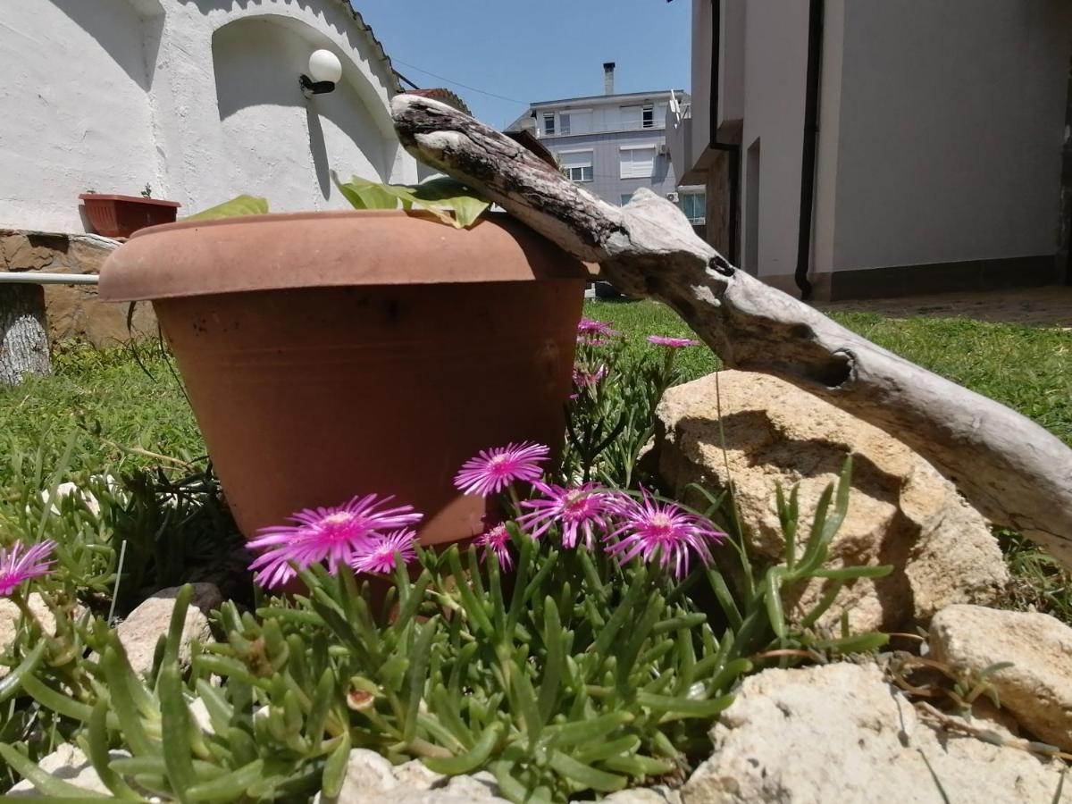 Siana House Otel Ravda Dış mekan fotoğraf