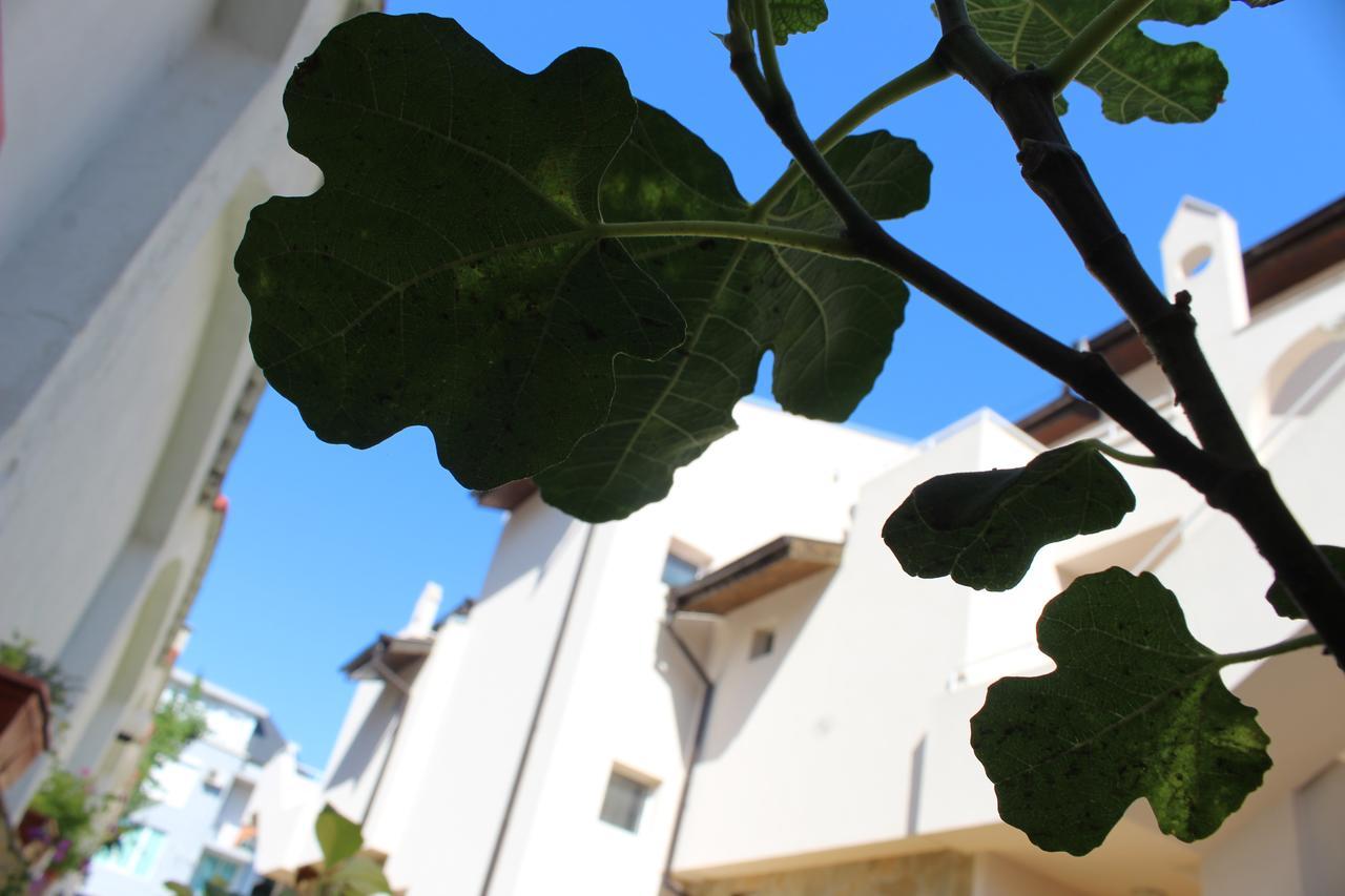 Siana House Otel Ravda Dış mekan fotoğraf